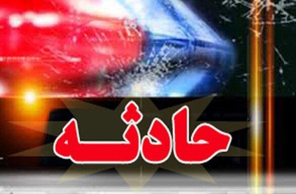 تصادف اتوبوس زائران بوشهری با گله گراز تصادف اتوبوس زائران بوشهری با گله گراز