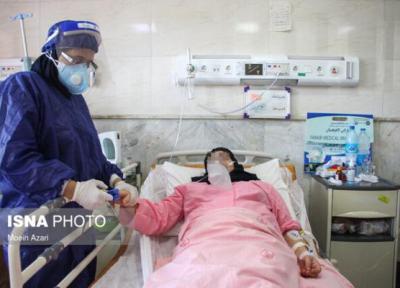 شناسایی 239 مورد مثبت سرپایی در زنجان